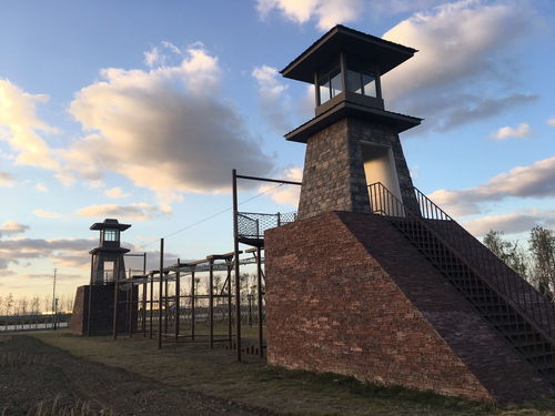 連云港徐圩新區運動項目經營 產業融合與區域發展的新引擎